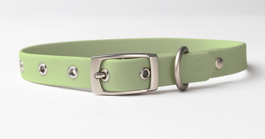 custom pet collar