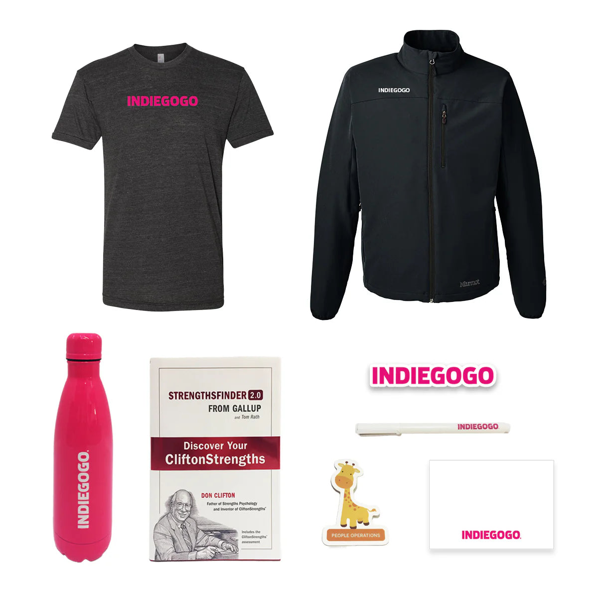 Indiegogo x Pinlord: Your Trusted Partner for Crowdfunding Success