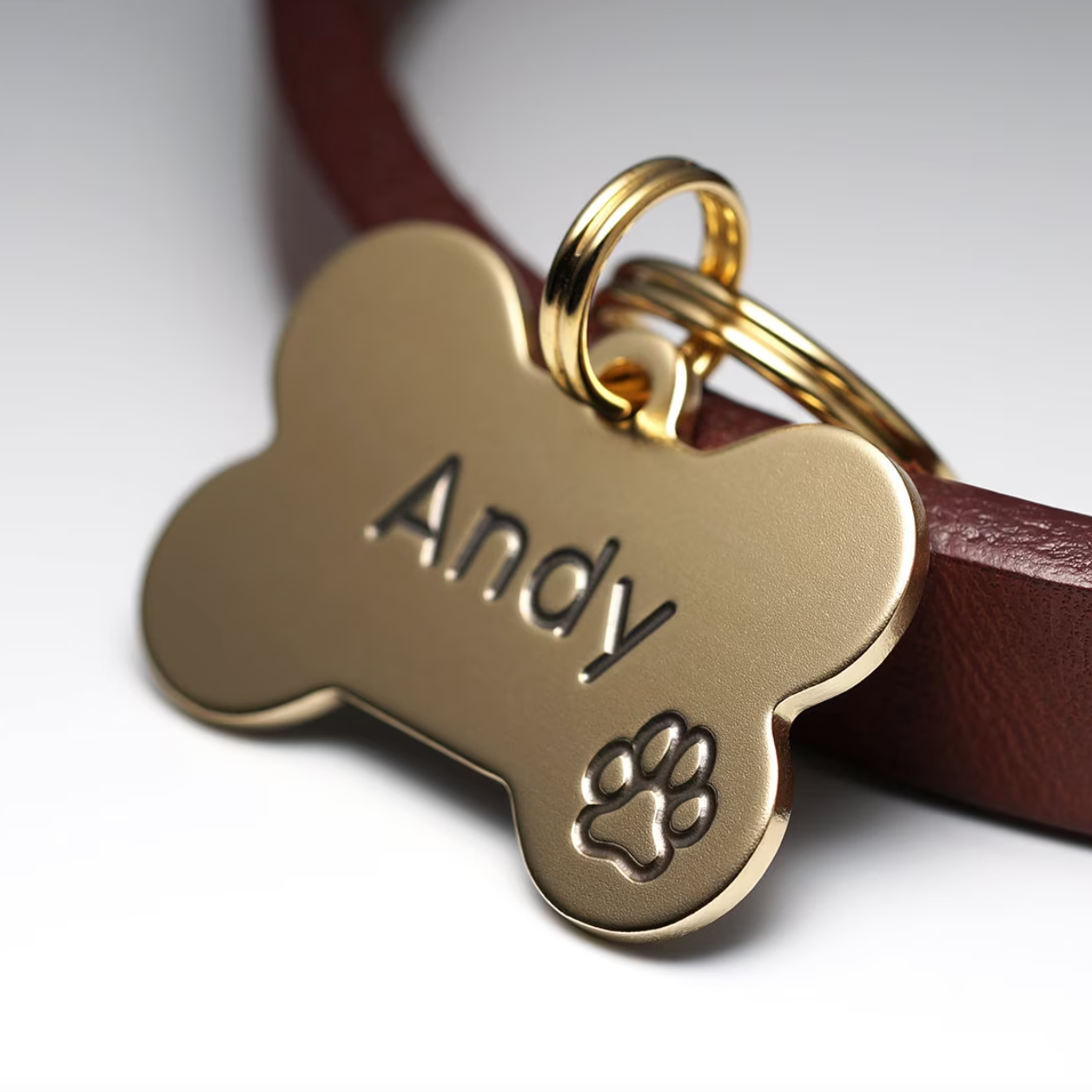 Custom Dog and Cat collars