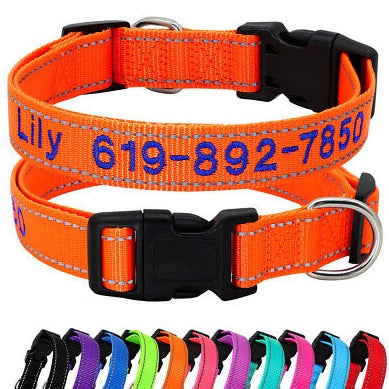 Dog collar template