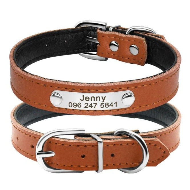 Custom Dog and Cat collars