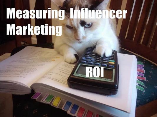 How To Measure Influencer Marketing ROI on Instagram