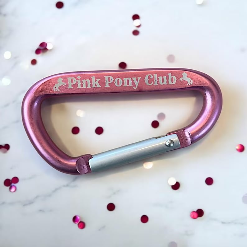 Custom Carabiners - Pinlord.com