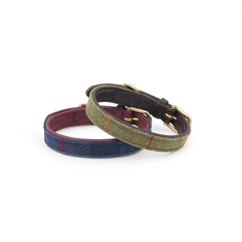 Custom Pet Collars - Pinlord.com