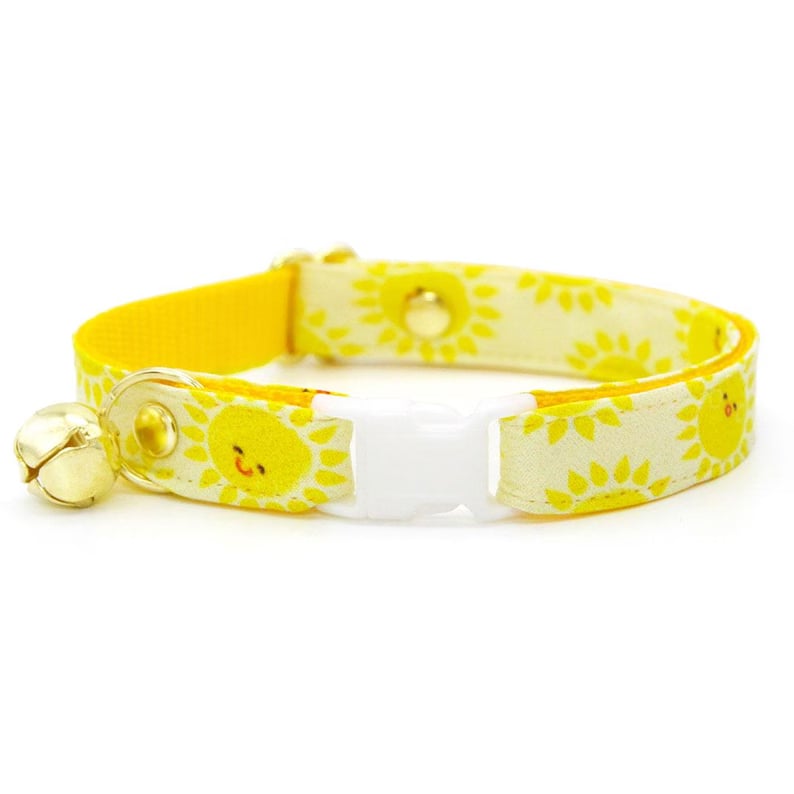Custom Pet Collars - Pinlord.com