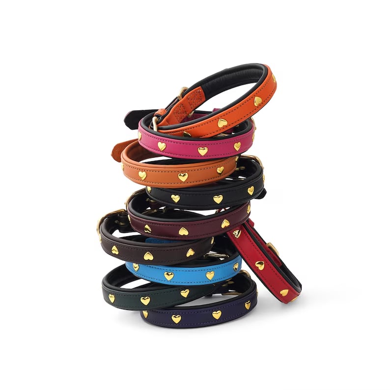 Custom Pet Collars - Pinlord.com