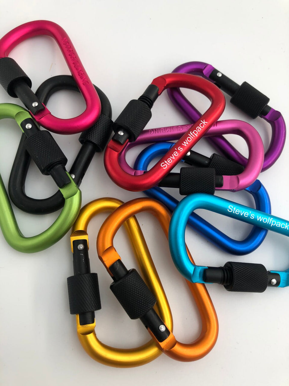 Custom Carabiners - Pinlord.com