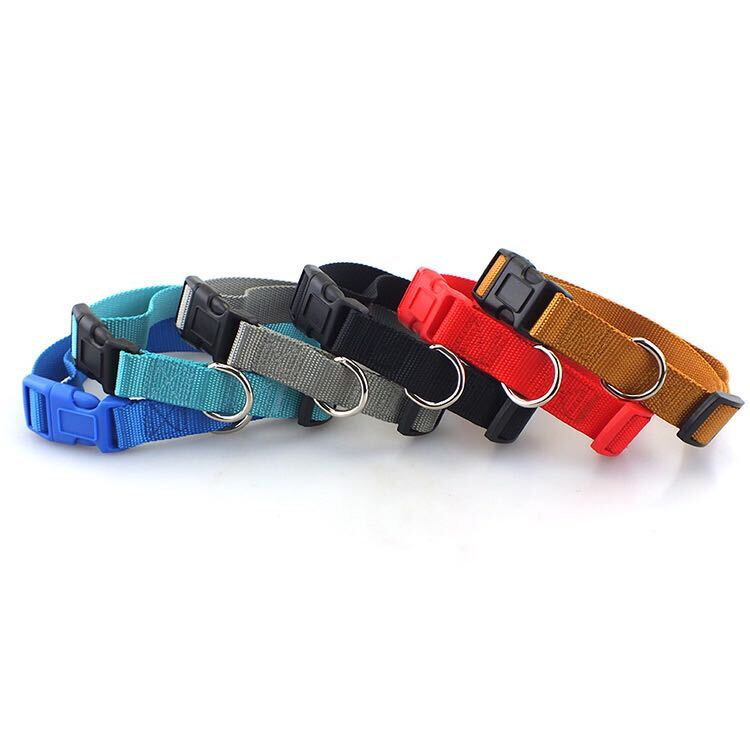 Custom Pet Collars - Pinlord.com