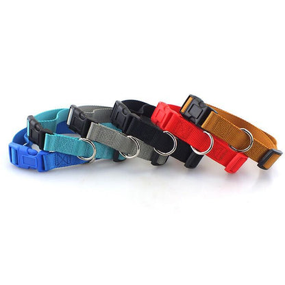 Custom Pet Collars - Pinlord.com