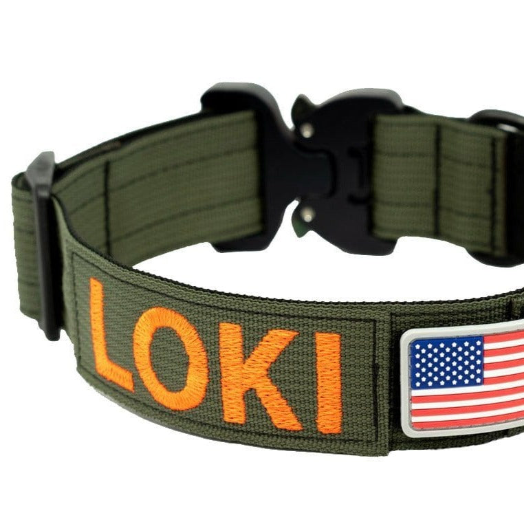 Custom Pet Collars - Pinlord.com