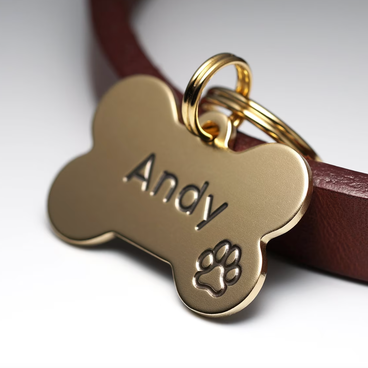 Custom Pet Collars - Pinlord.com