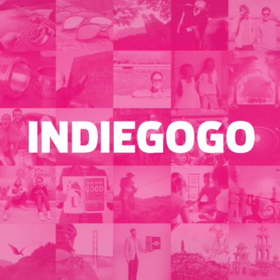 Indiegogo - Pinlord.com